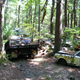 Illustration for article titled Massive Secret Mustang Junkyard Found In Rhode Island Forest